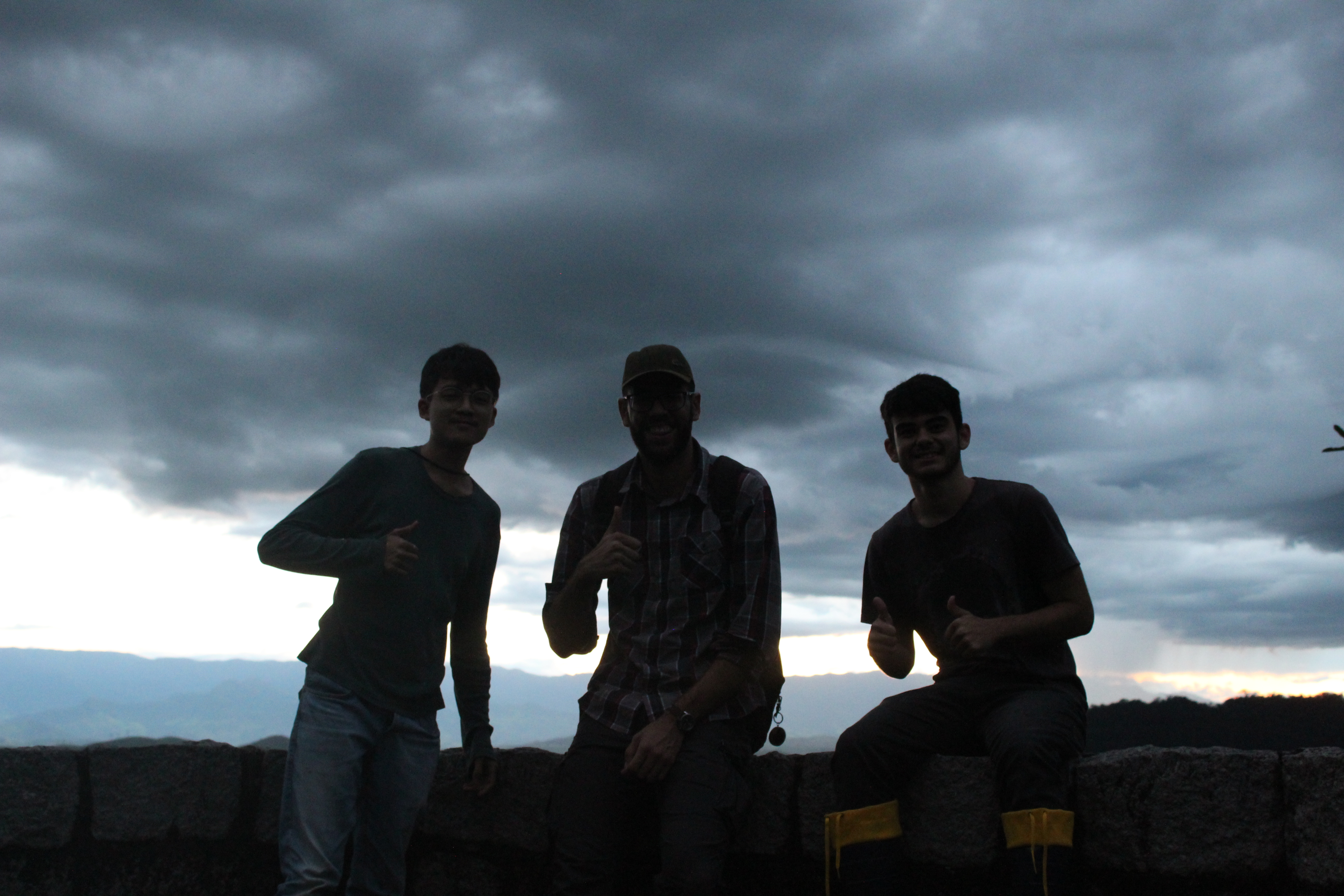 Brachycephalus rotenbergae